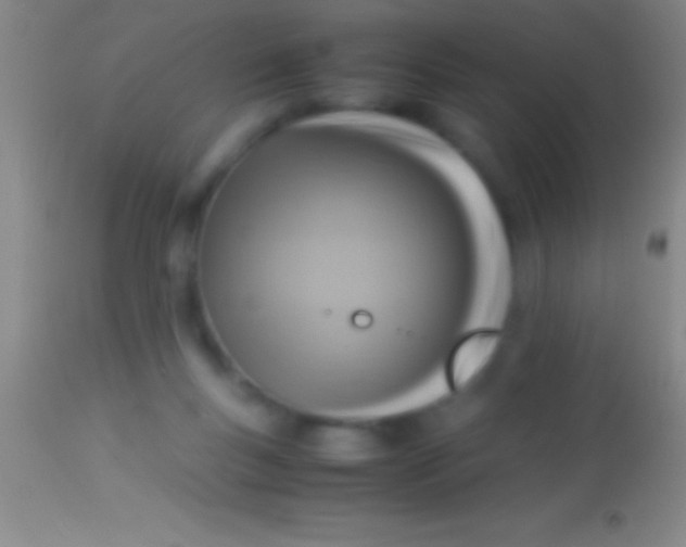 X0000113950167200910161948