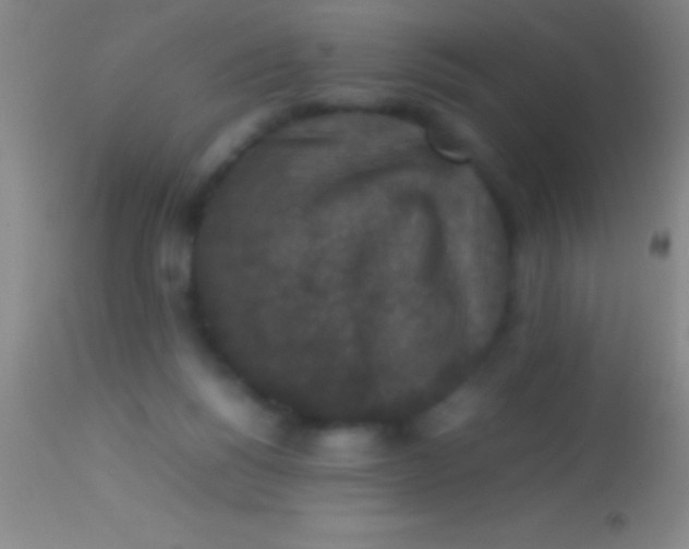 X0000113950168200910161948