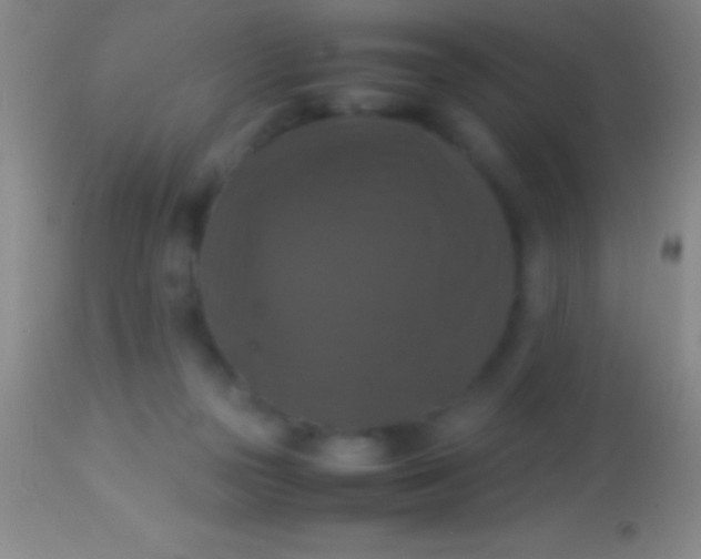 X0000113950169200910161948