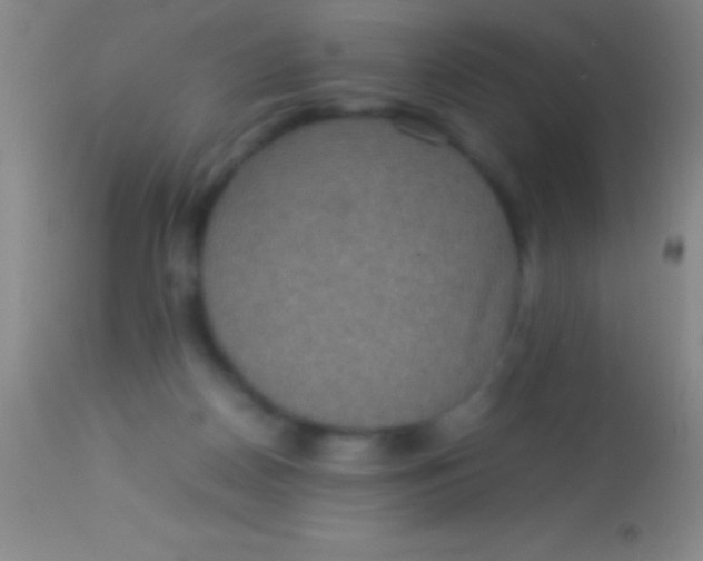 X0000113950170200910161948
