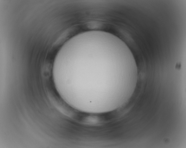 X0000113950171200910161948