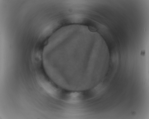 X0000113950172200910161948