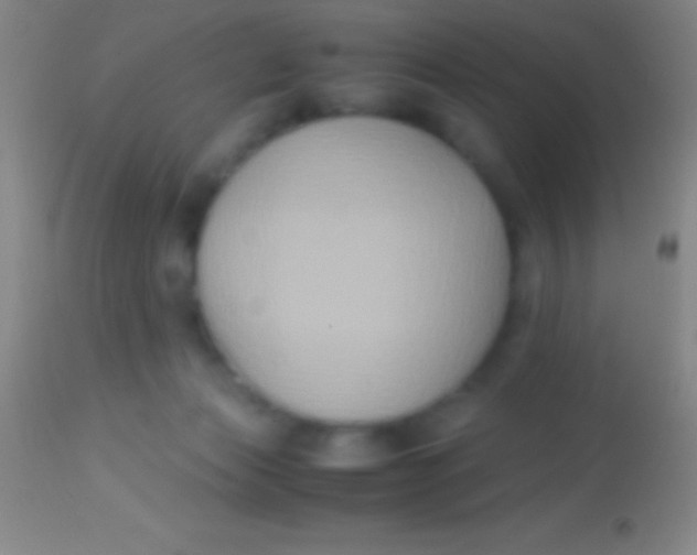 X0000113950173200910161948