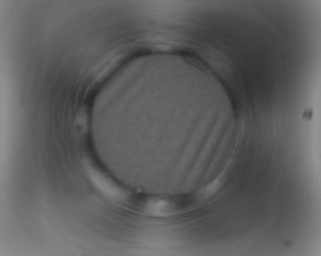 X0000113950174200910161948