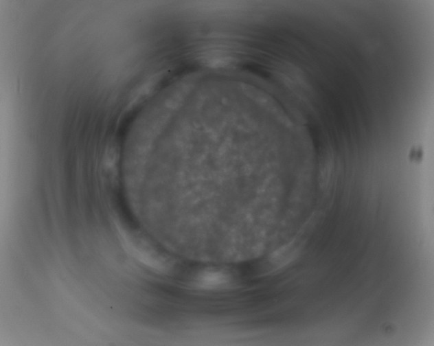 X0000113950175200910161948