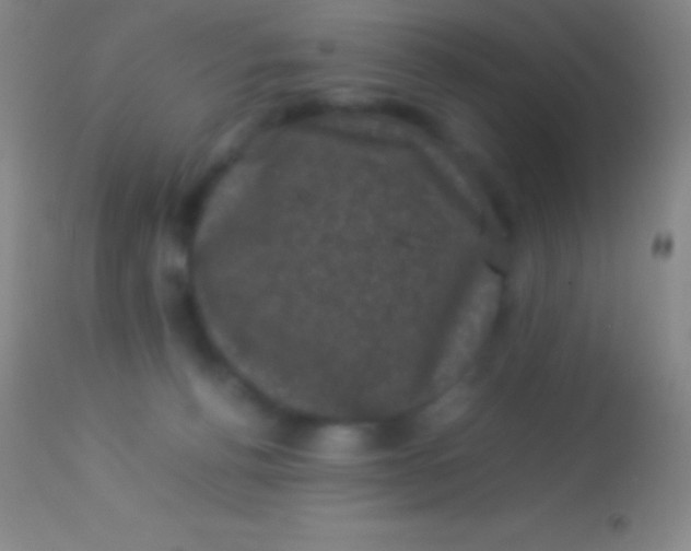 X0000113950176200910161948