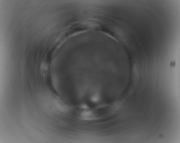 X0000113950177200910161948