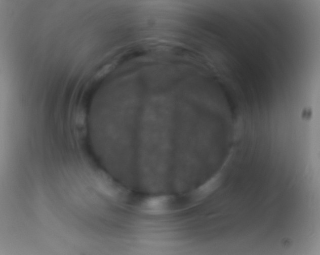 X0000113950178200910161948