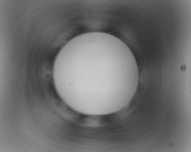 X0000113950179200910161948