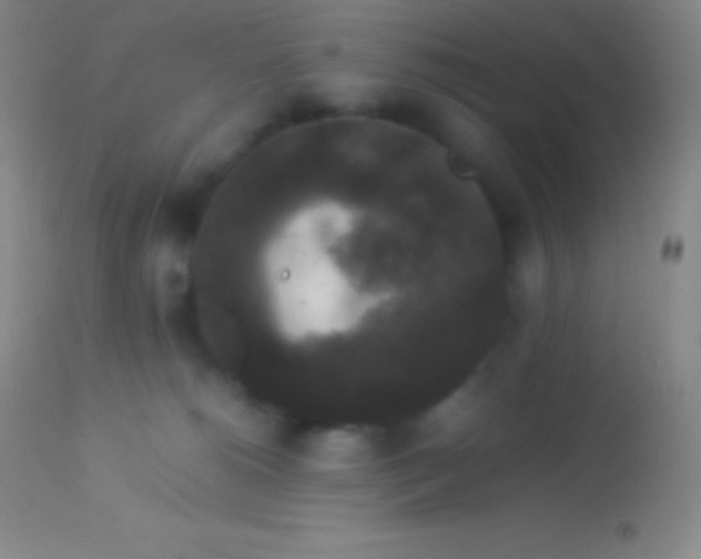 X0000113950180200910161948