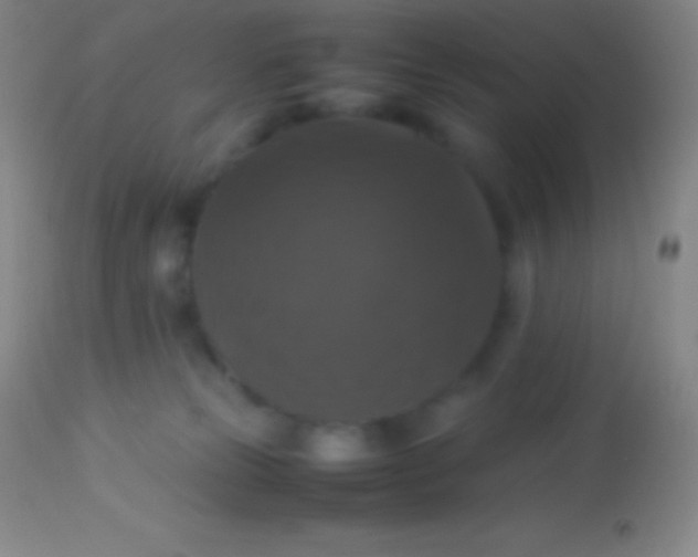 X0000113950181200910161948