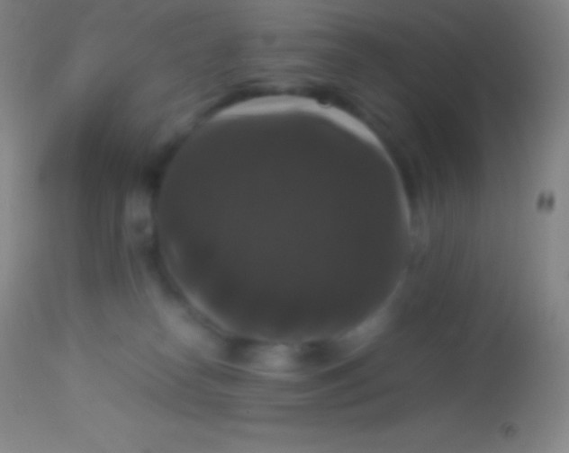 X0000113950182200910161948