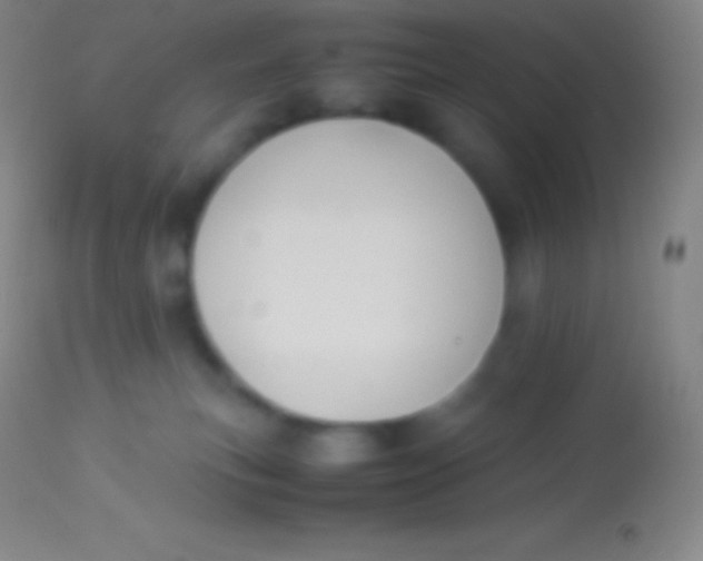 X0000113950183200910161948