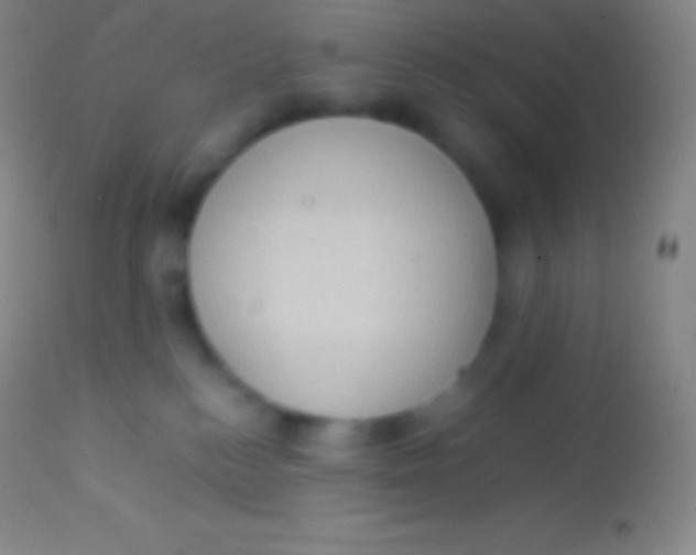 X0000113950184200910161948