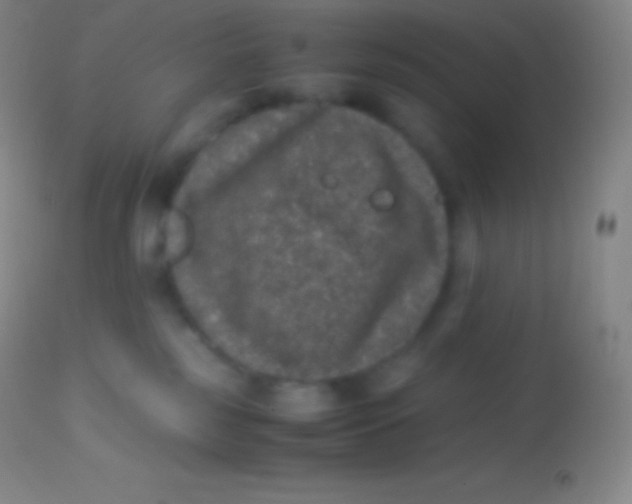 X0000113950185200910161948