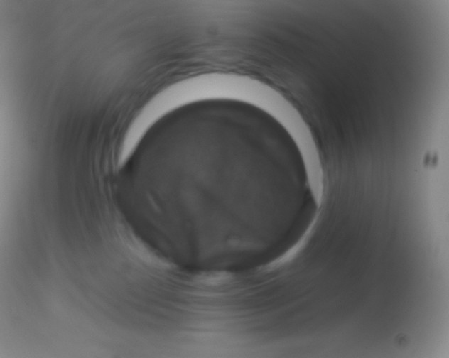 X0000113950186200910161948