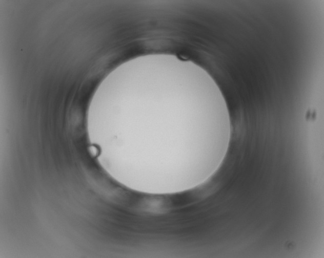 X0000113950187200910161948