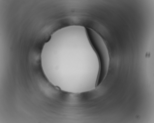X0000113950188200910161948