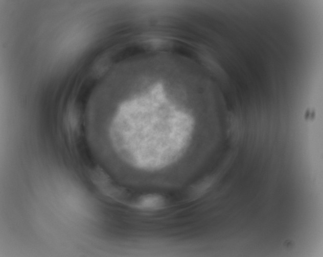 X0000113950189200910161948