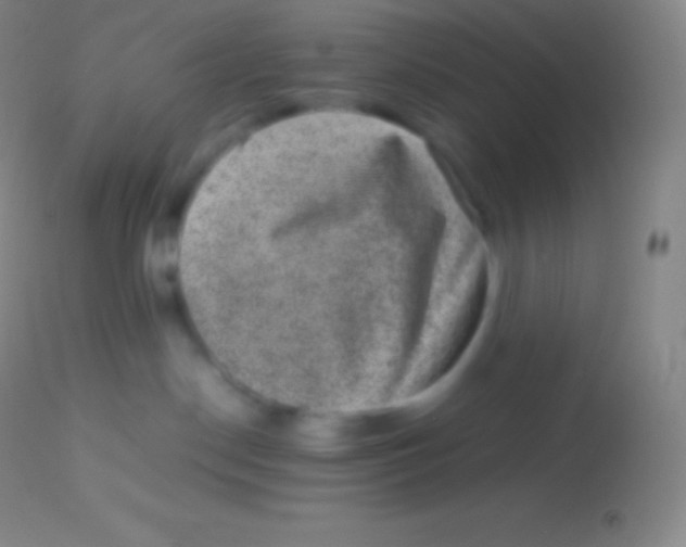 X0000113950190200910161948