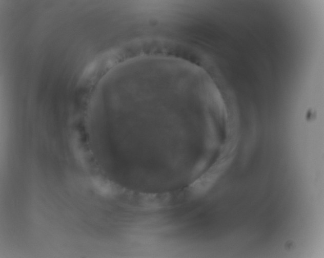 X0000113950192200910161949