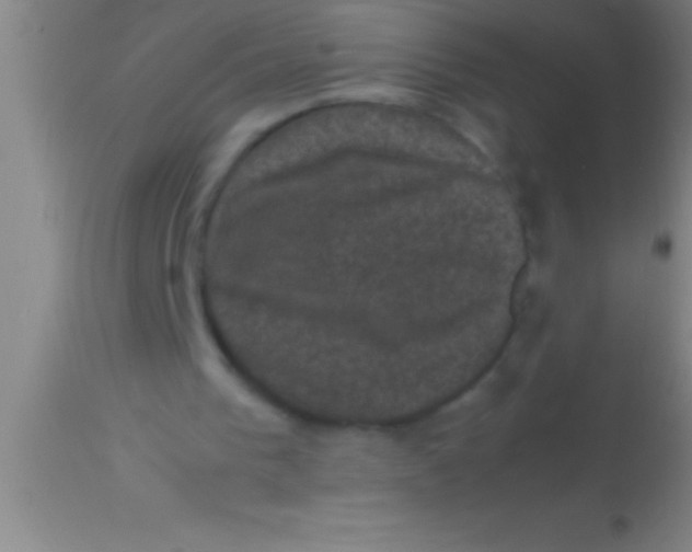 X0000113950193200910161948