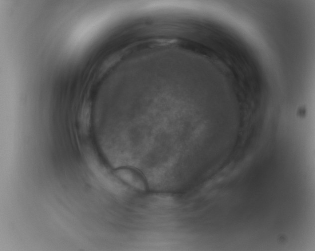 X0000113950194200910161948