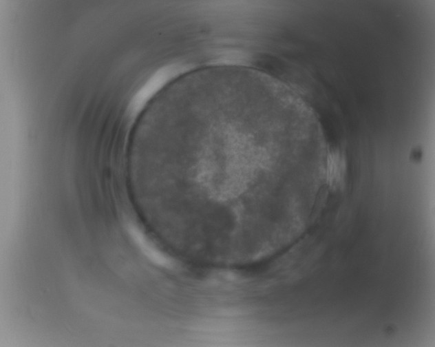 X0000113950195200910161948