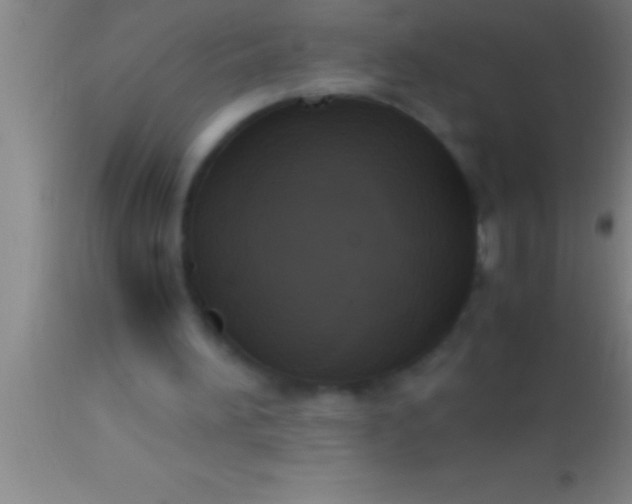 X0000113950196200910161948