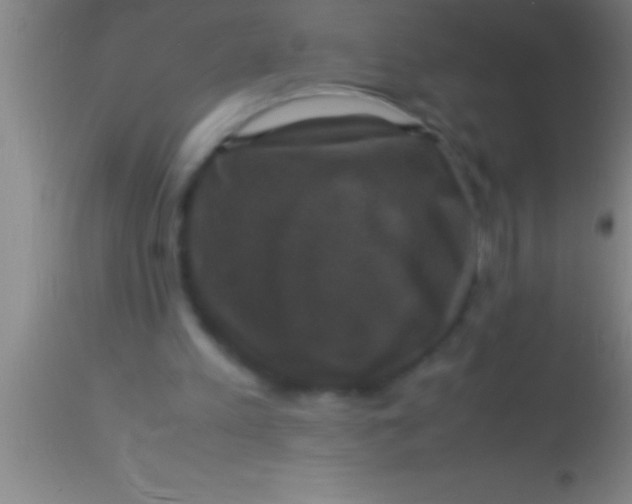X0000113950197200910161948
