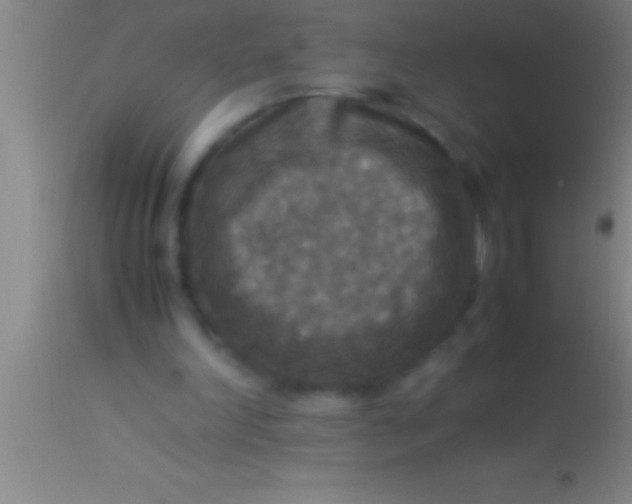 X0000113950198200910161948