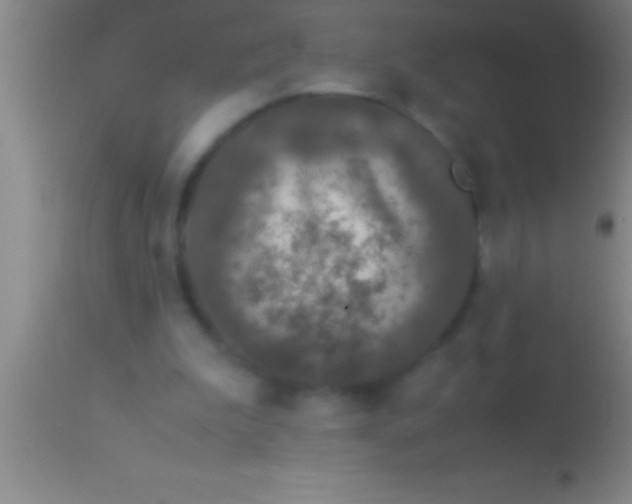 X0000113950199200910161948