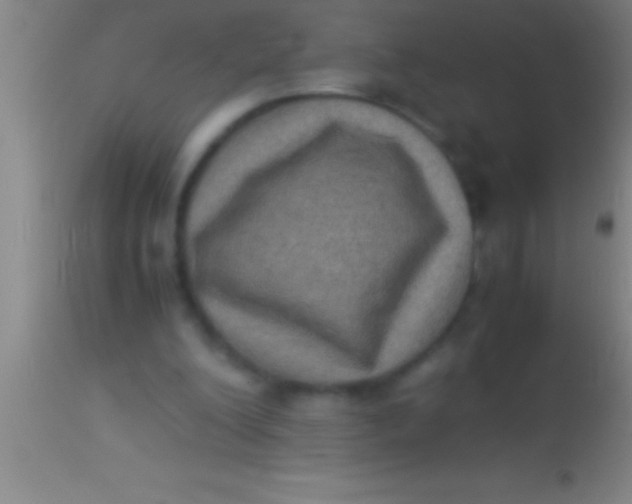 X0000113950200200910161948