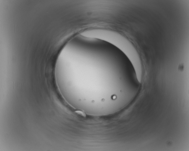 X0000113950201200910161948