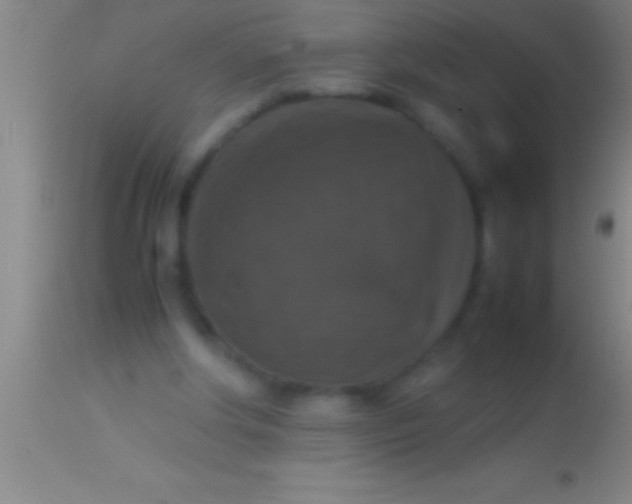 X0000113950202200910161948