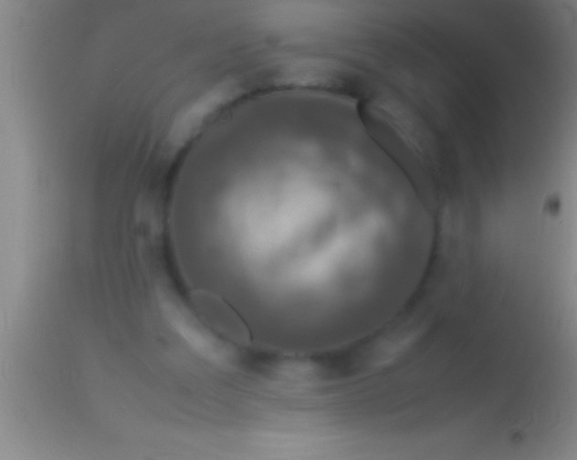 X0000113950203200910161948