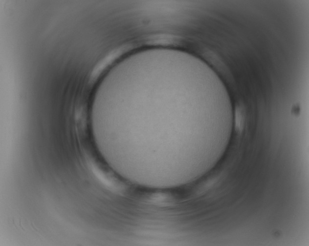 X0000113950204200910161948