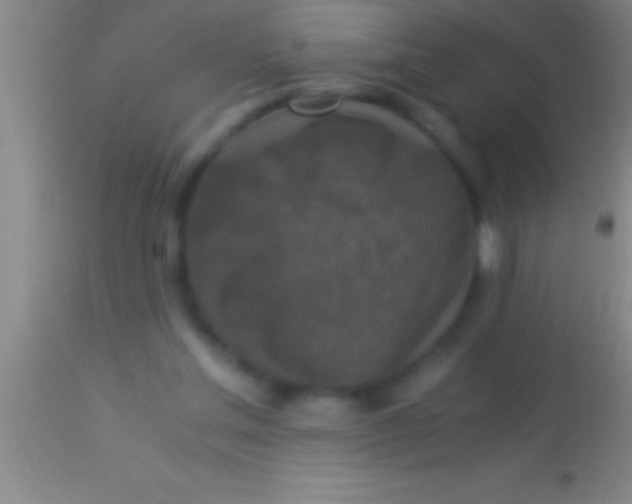 X0000113950205200910161948