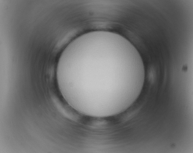 X0000113950206200910161948