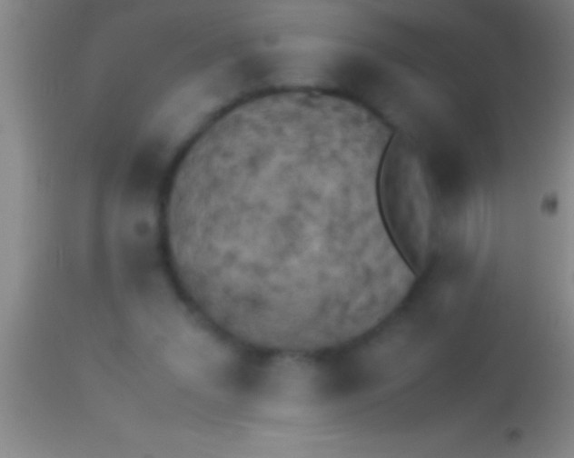 X0000113950207200910161948