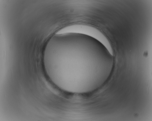 X0000113950209200910161948