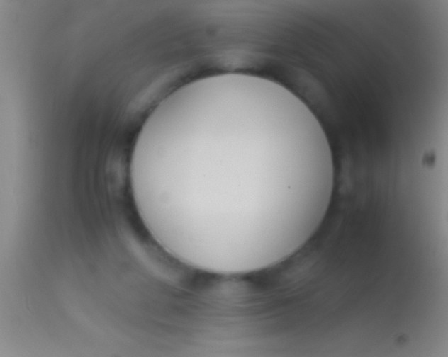 X0000113950210200910161948