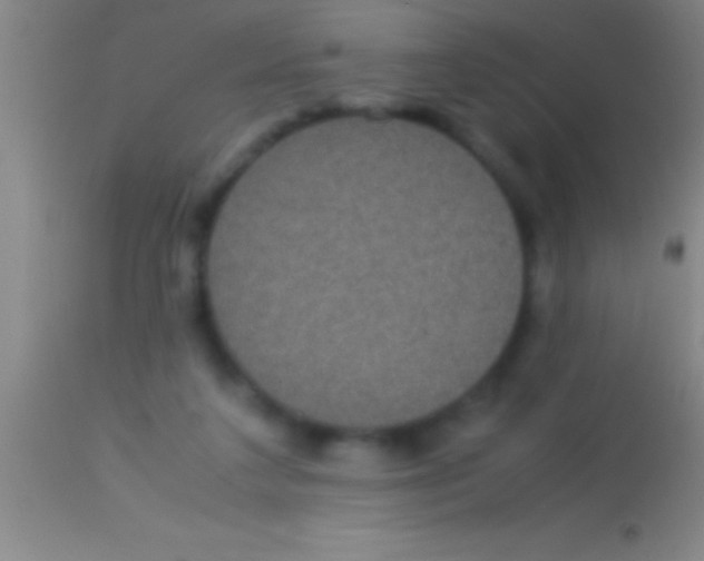 X0000113950211200910161948