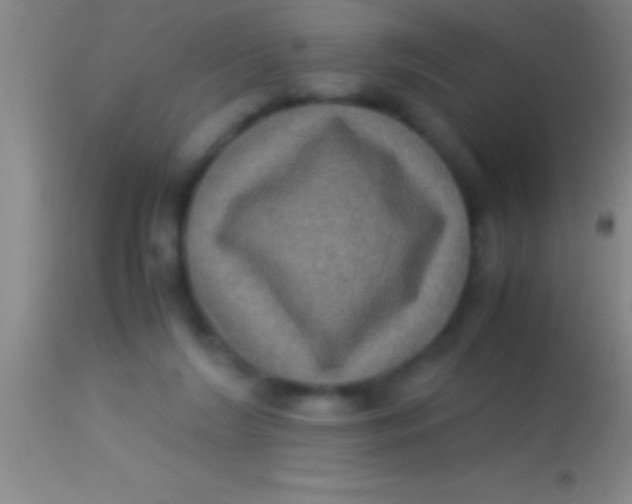 X0000113950212200910161948