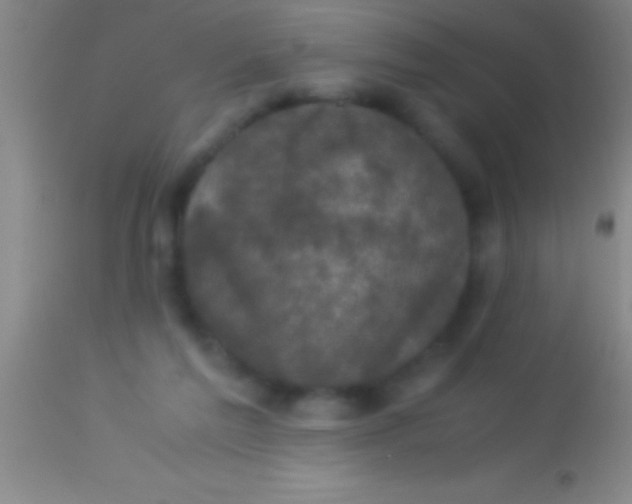 X0000113950213200910161948