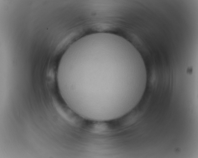 X0000113950214200910161947