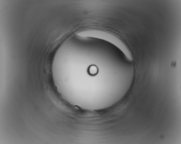 X0000113950215200910161947