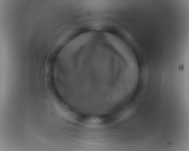 X0000113950217200910161947