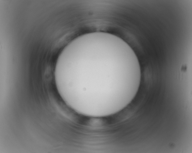 X0000113950218200910161947