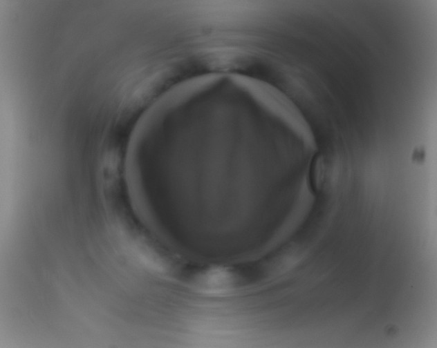 X0000113950219200910161947